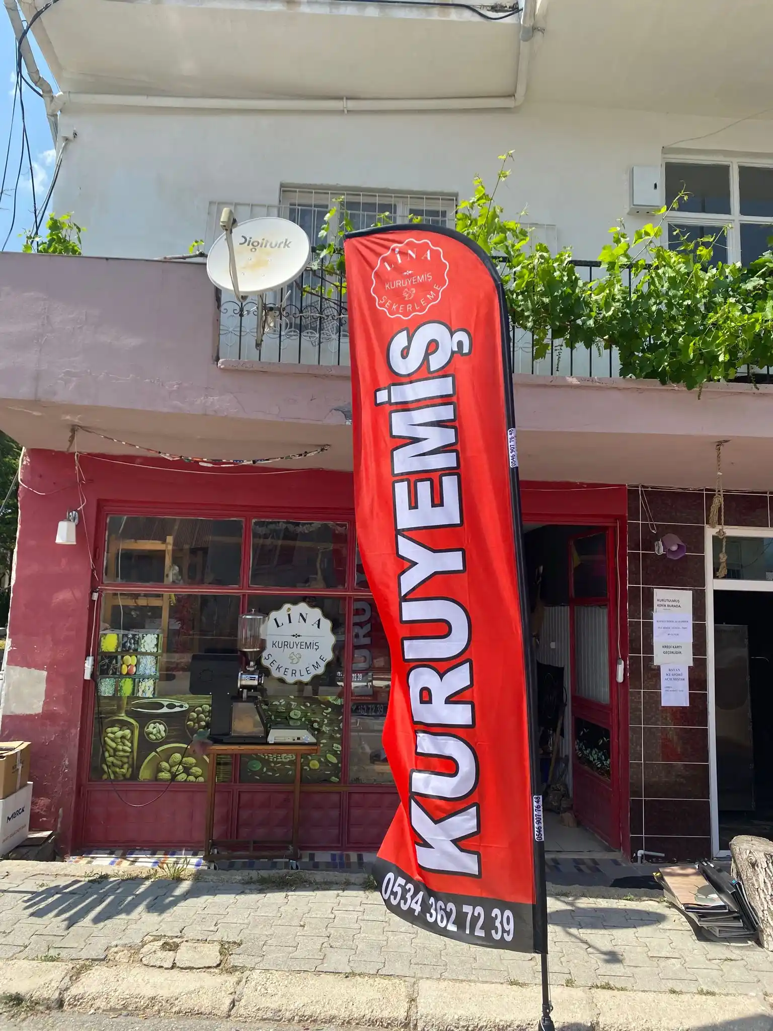 Kuruyemiçi Yelken Bayrağı-1